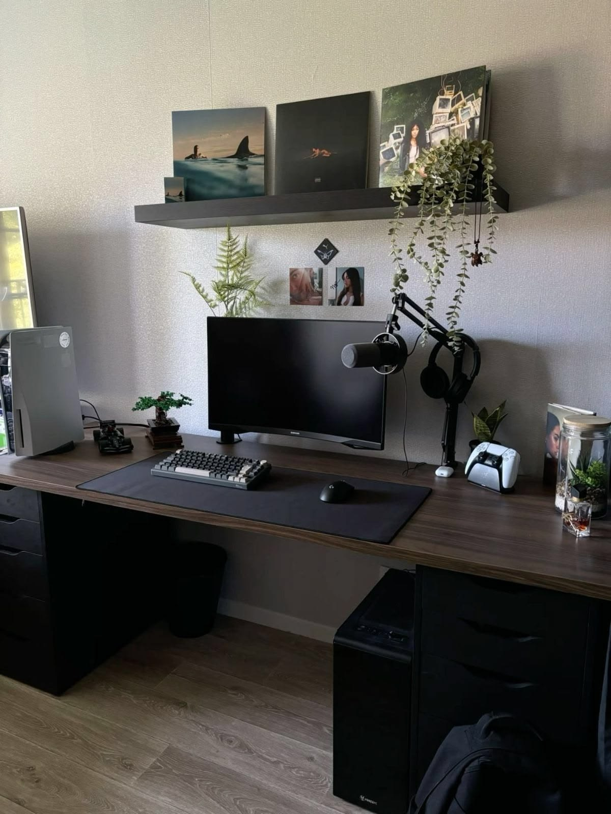 Clean desk setup with monitor, plants, shelf art, and headset